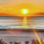 377794 4745f902d9 44