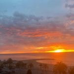 392269 b366f1d749 40