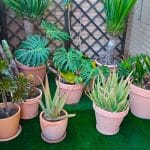 whatsapp image 2025 12 02 at 01.15.38